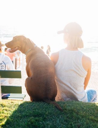 pet-insurance-elkton-MD_Mccool Insurance