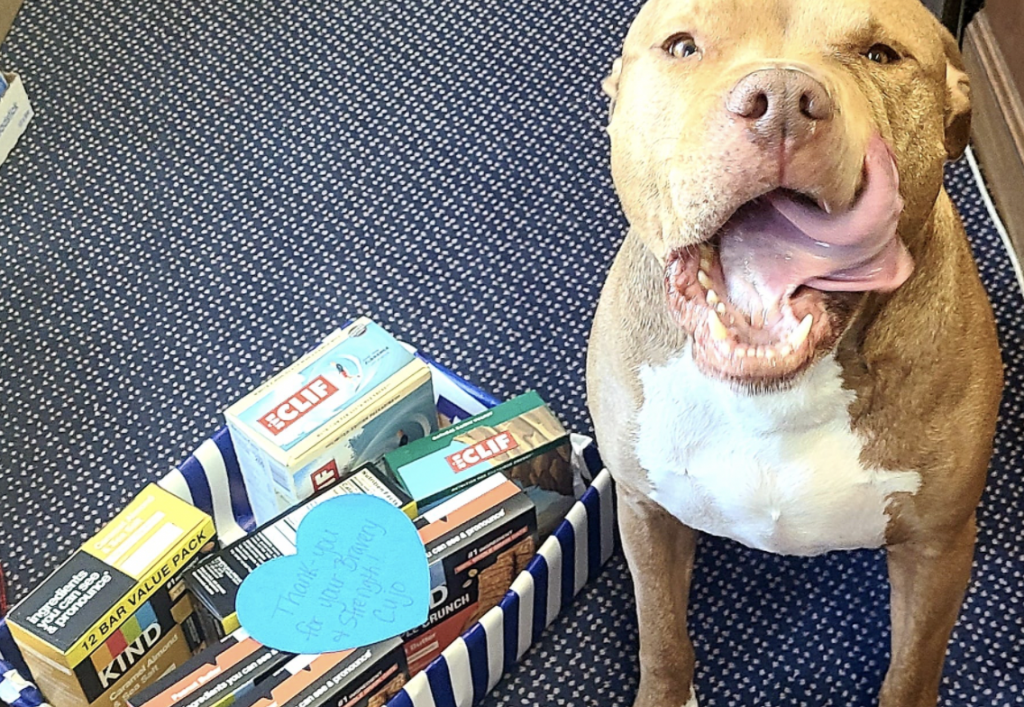 Elkton Maryland Insurance Agency McCool Insurance